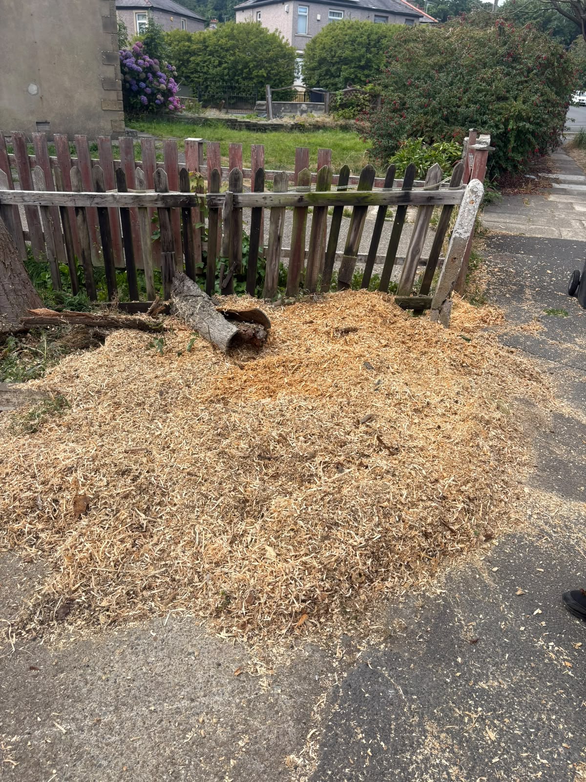 Clean ground after professional stump grinding - Leeds