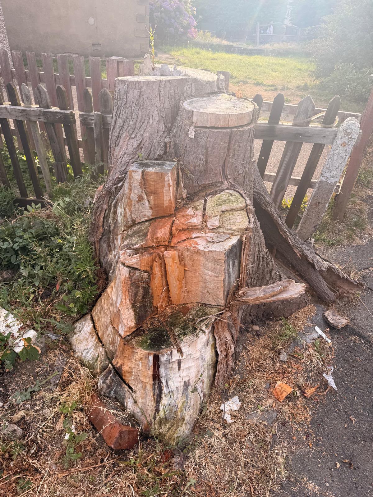 Stump before grinding - Leeds property